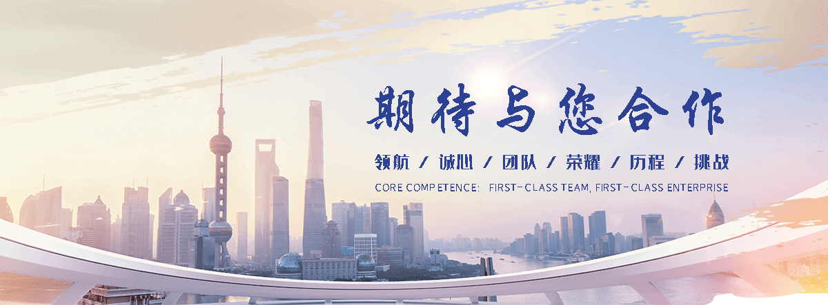 武汉海狮租赁公司